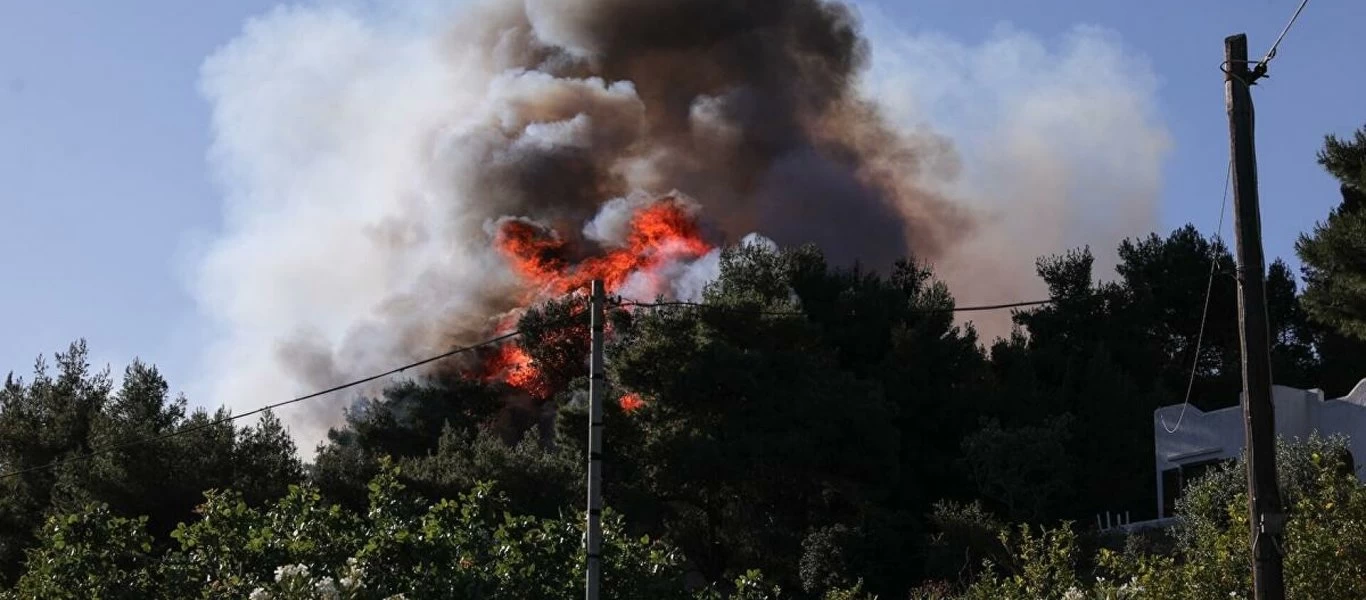 Ποια είναι Γεράνεια Όρη που παραδόθηκαν στην φωτιά; - Σοκάρουν οι εικόνες της καταστροφής σε δάσος Natura (βίντεο)